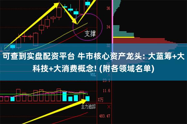 可查到实盘配资平台 牛市核心资产龙头: 大蓝筹+大科技+大消费概念! (附各领域名单)