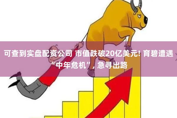 可查到实盘配资公司 市值跌破20亿美元! 育碧遭遇“中年危机”, 急寻出路