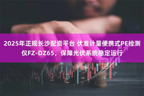2025年正规长沙配资平台 伏准计量便携式PE检测仪FZ-DZ65，保障光伏系统稳定运行