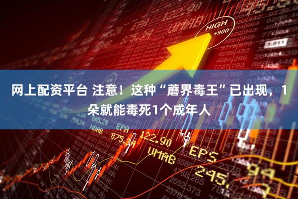 网上配资平台 注意！这种“蘑界毒王”已出现，1朵就能毒死1个成年人